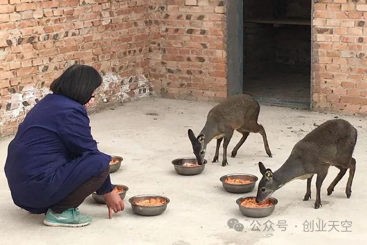 10大暴利养殖业是什么(10大暴利养殖业是什么公司)