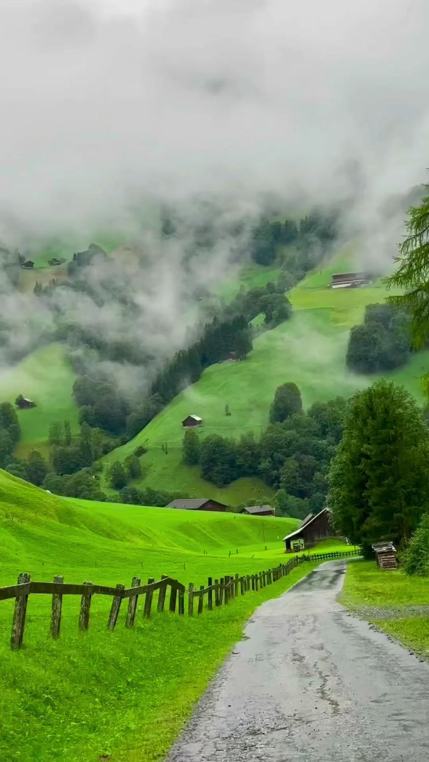 优美的风景,实在太美了