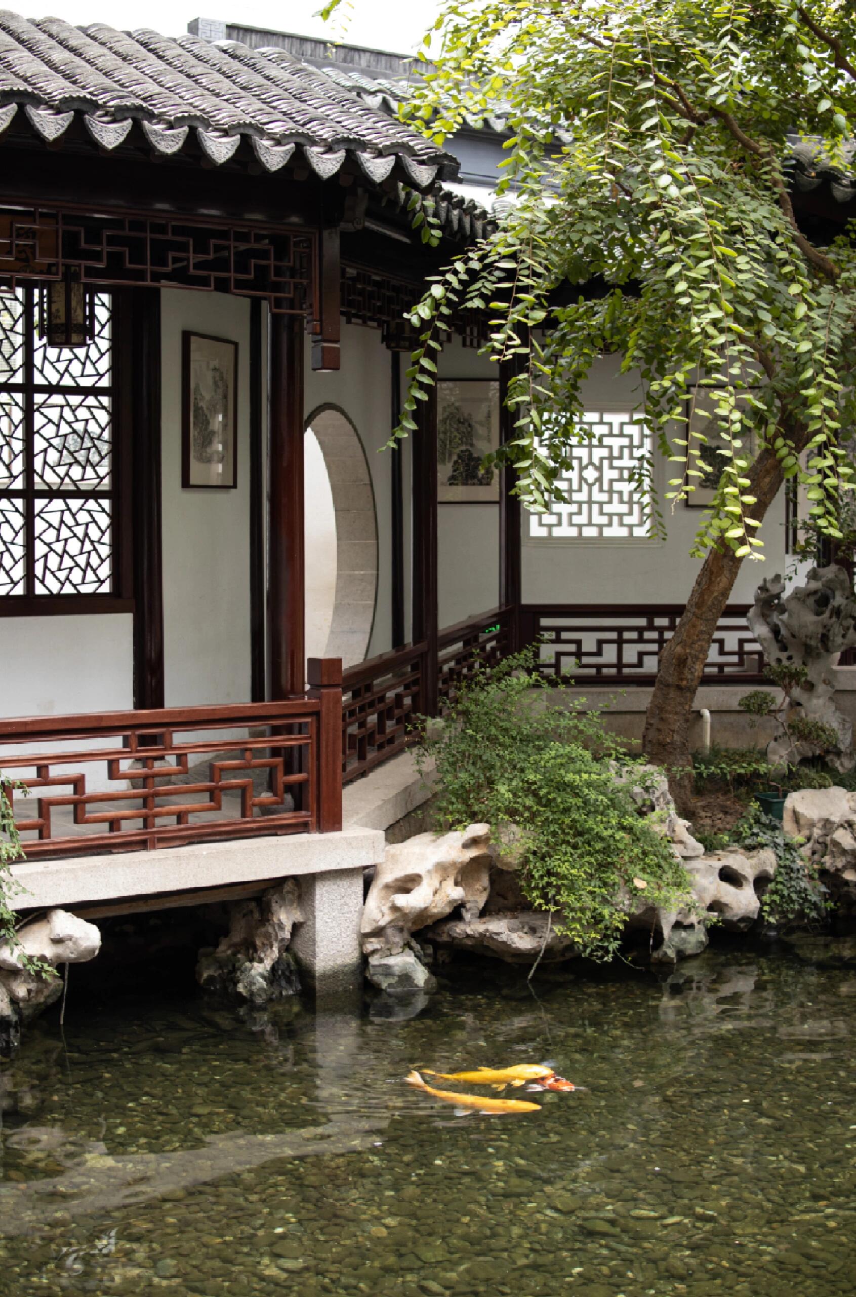 北京古建筑花园中式古典园林园林图片暗一点北京园林博物馆染霞山房