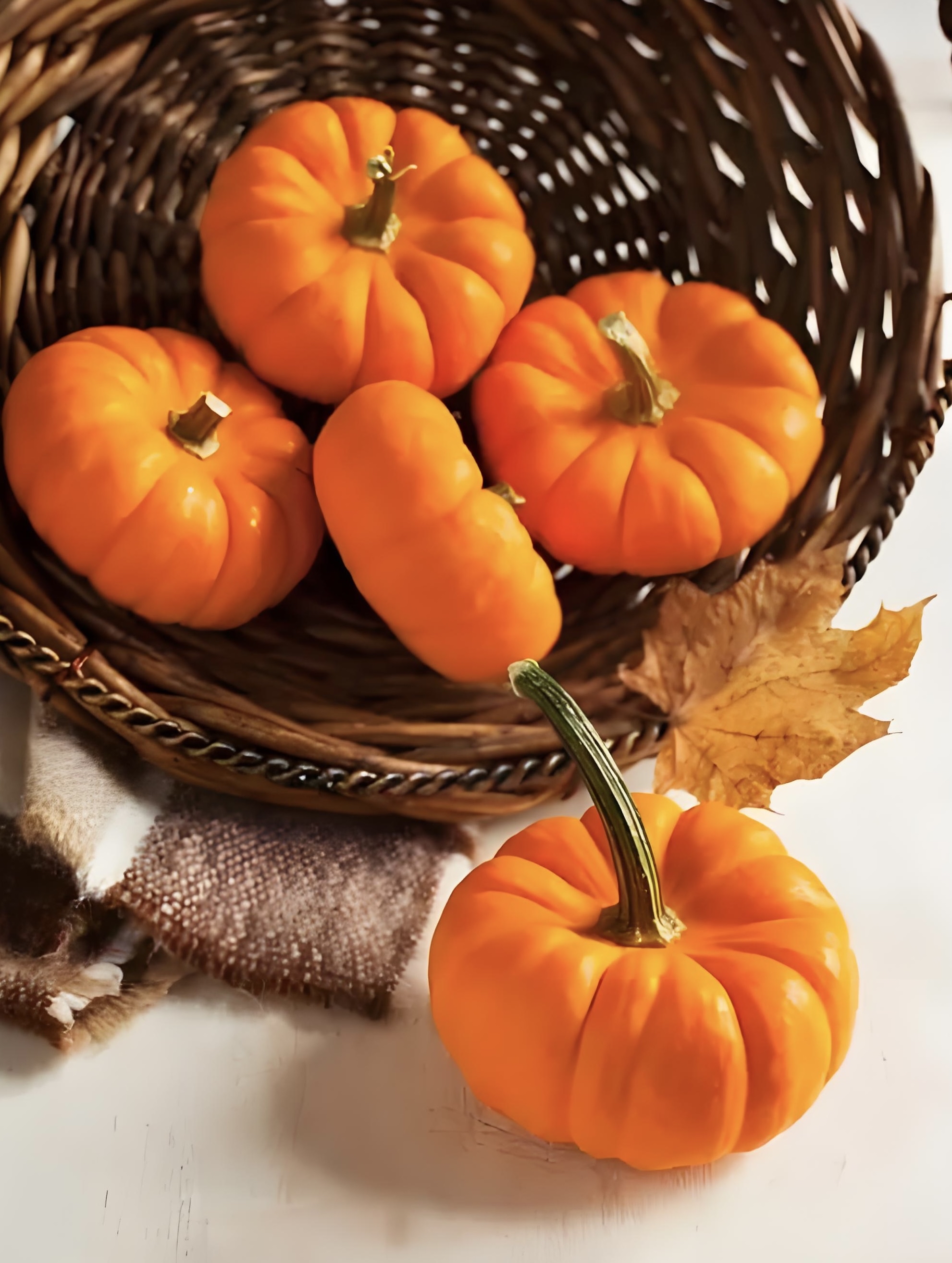 黑豆  1秋天美食秋天的食物秋天食物秋天的美食图片秋天的食物图片