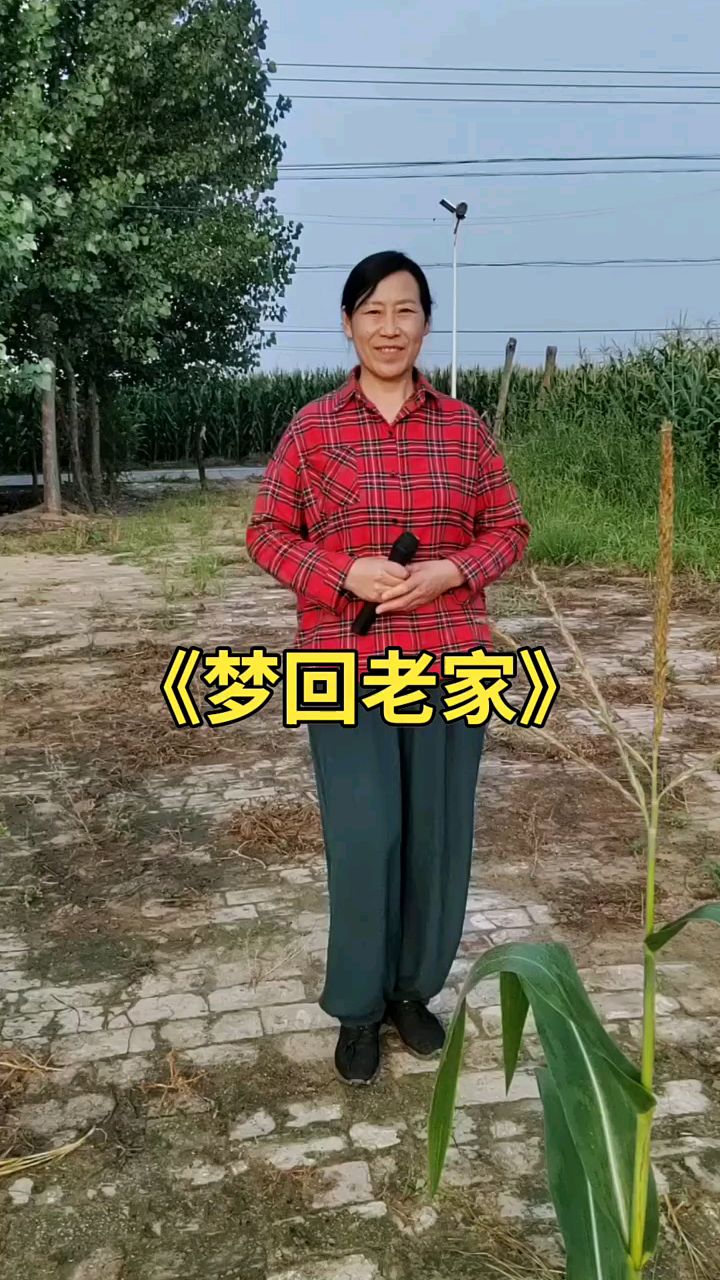 梦回老家歌词图片