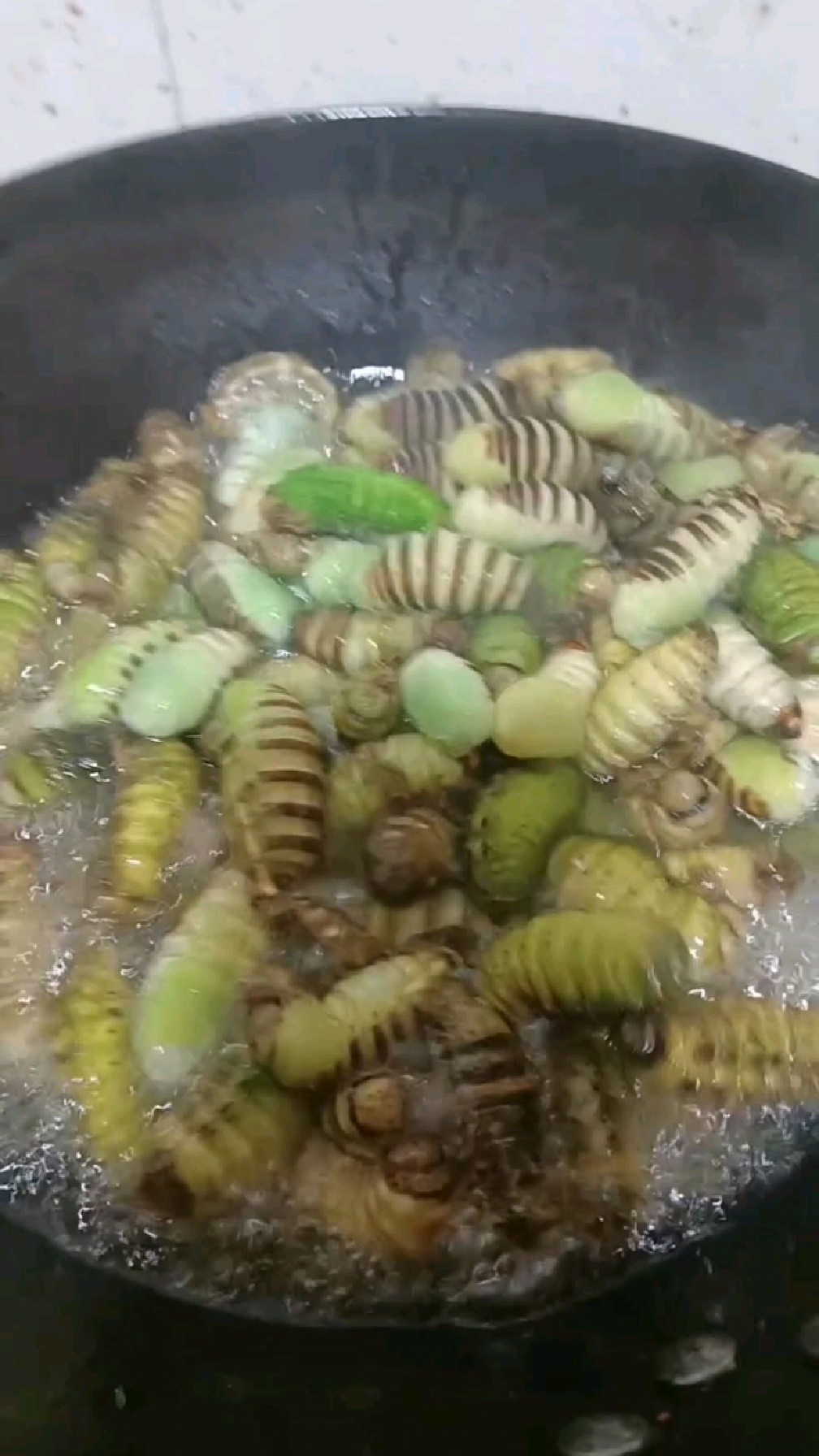 绿色神仙蛹嫩皮食用蚕蛹鲜活茧蛹神仙大绿虫子蝉蛹