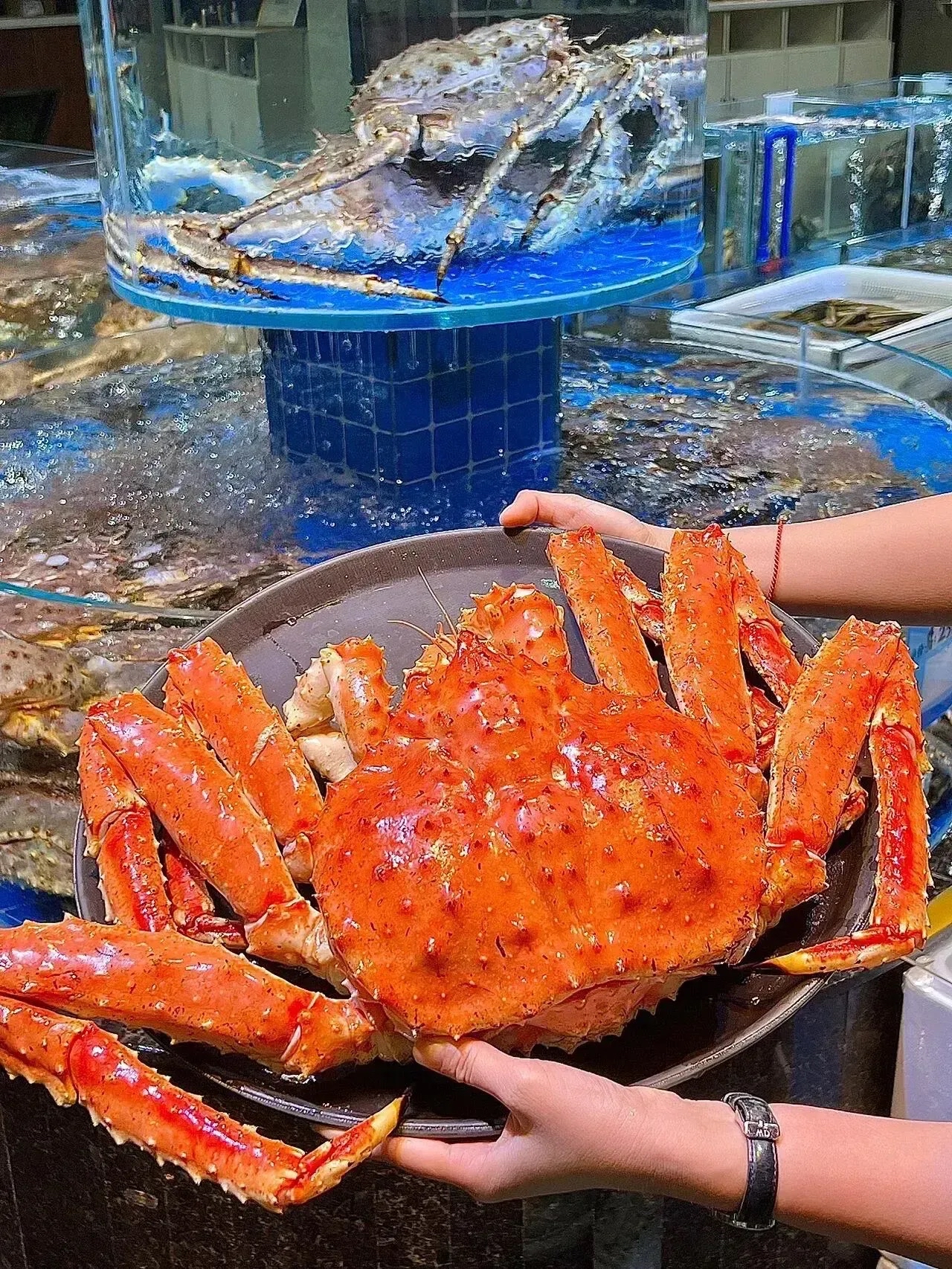 上海一名男子在某知名海鲜餐厅花费2300元点了一只珍稀的帝王蟹为了