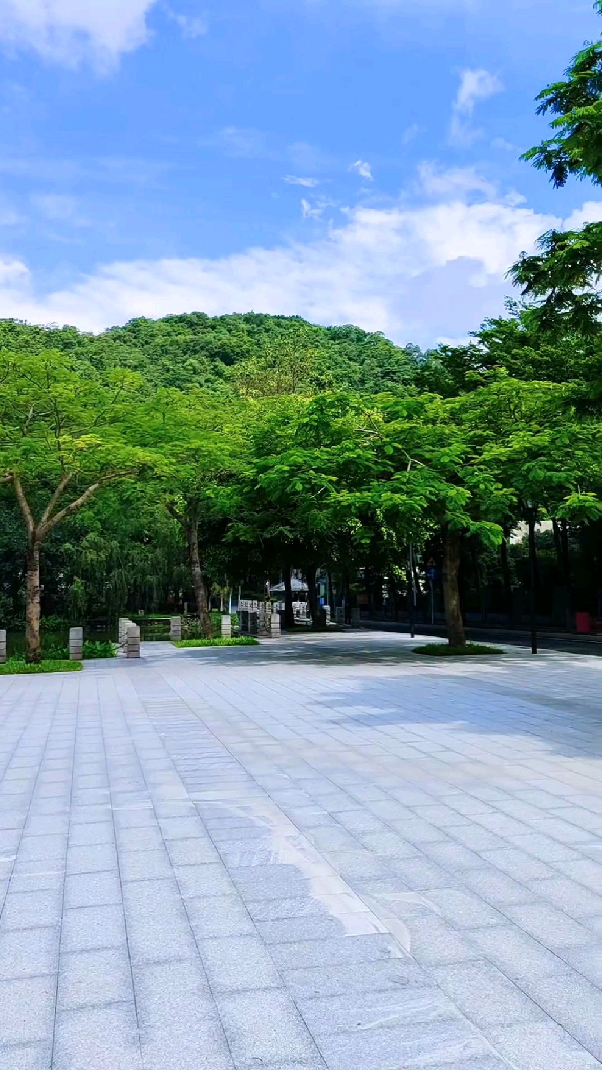 带你游深圳——铁仔山公园