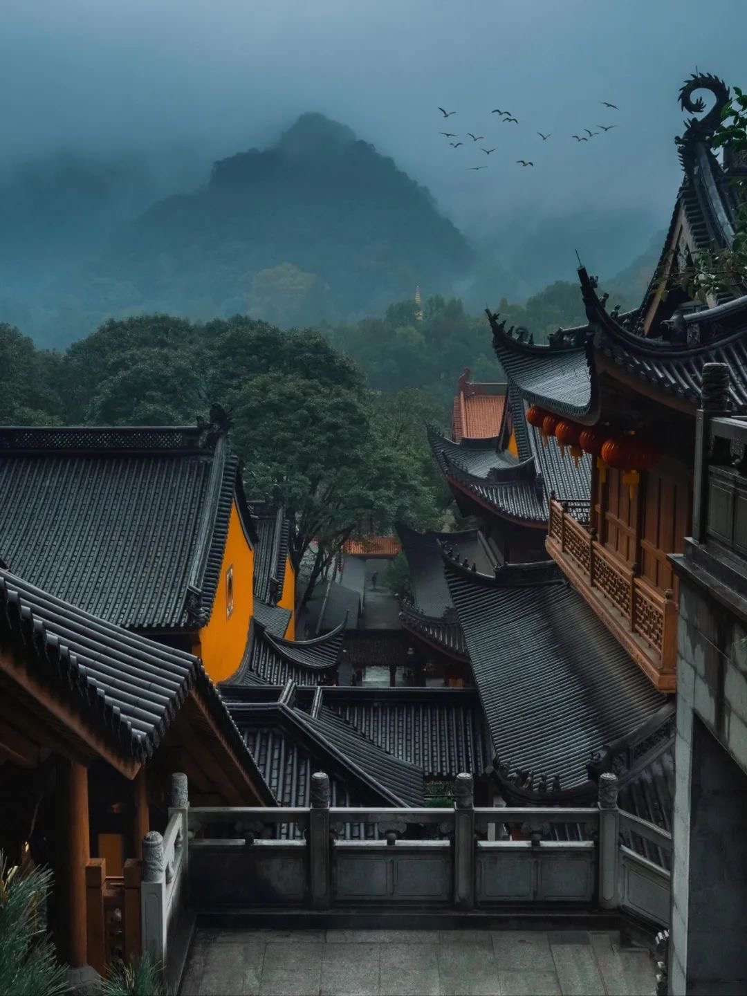 步入法喜寺的大门你会被这里浓厚的 总禅意所吸引