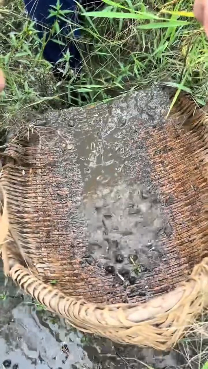 最真实的农村抓鱼