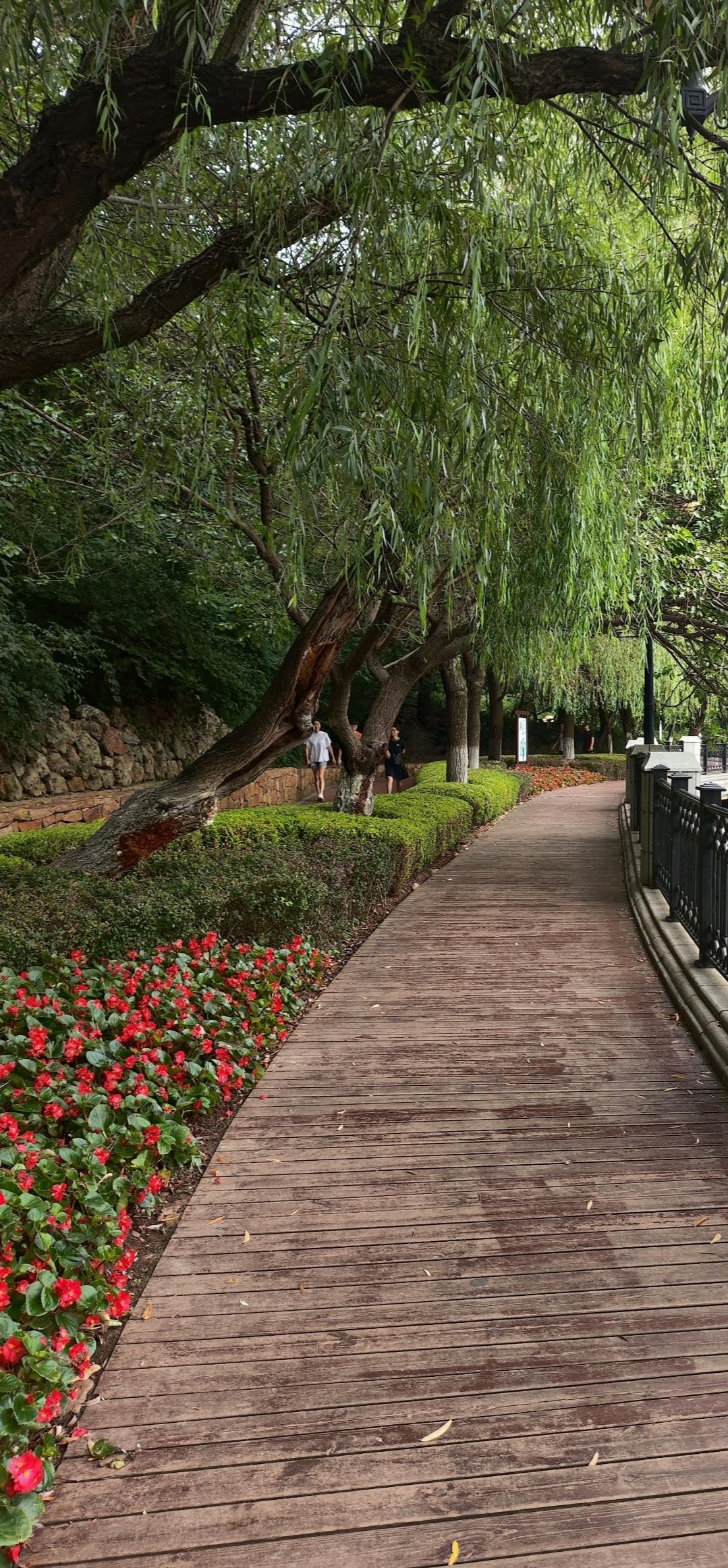 经过漫长的职业生涯,我终于在上个星期正式办理了退休