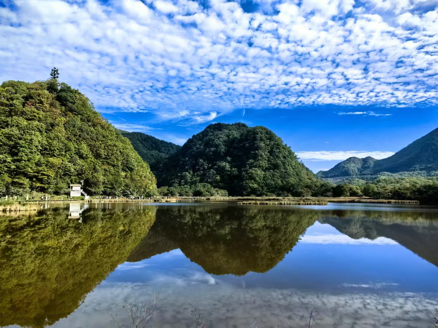 大九湖景区介绍图片