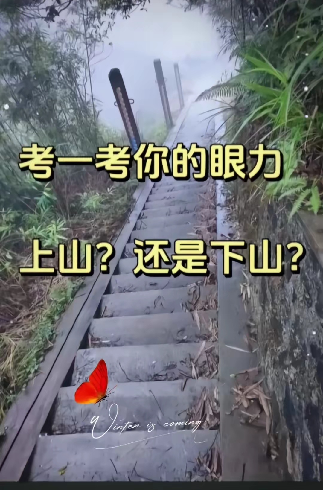 光靠眼力不行,这是真要智商啊