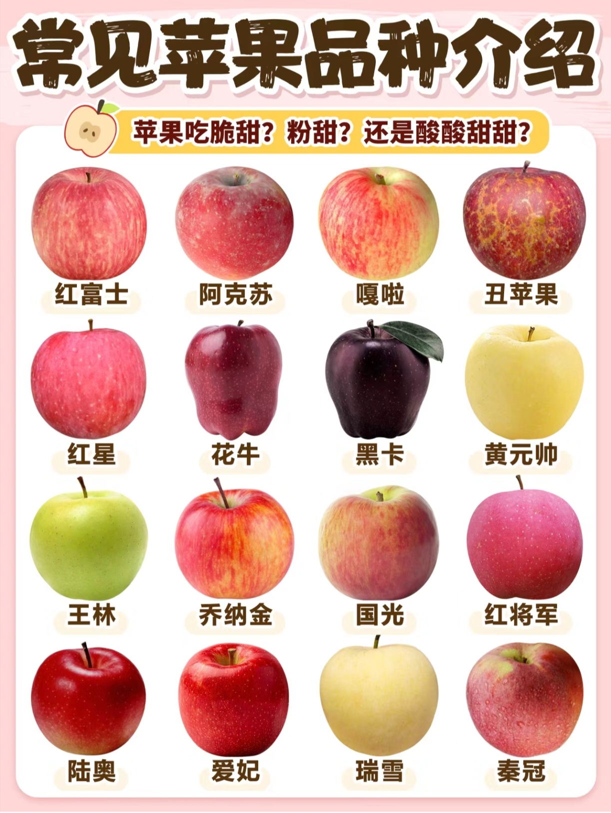 苹果有什么寓意(苹果有什么隐藏功能)