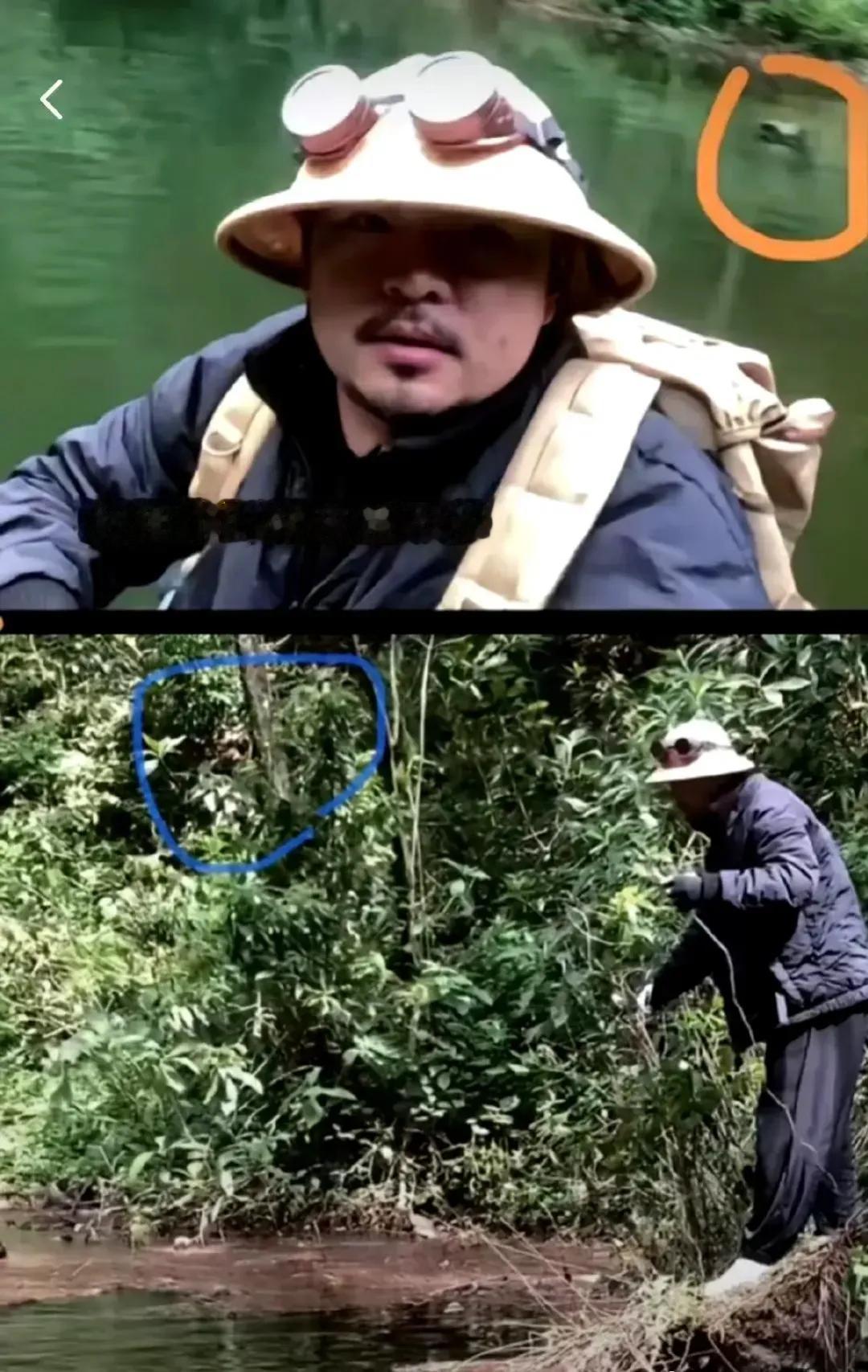 这真是哀牢山的大蟒蛇吗?