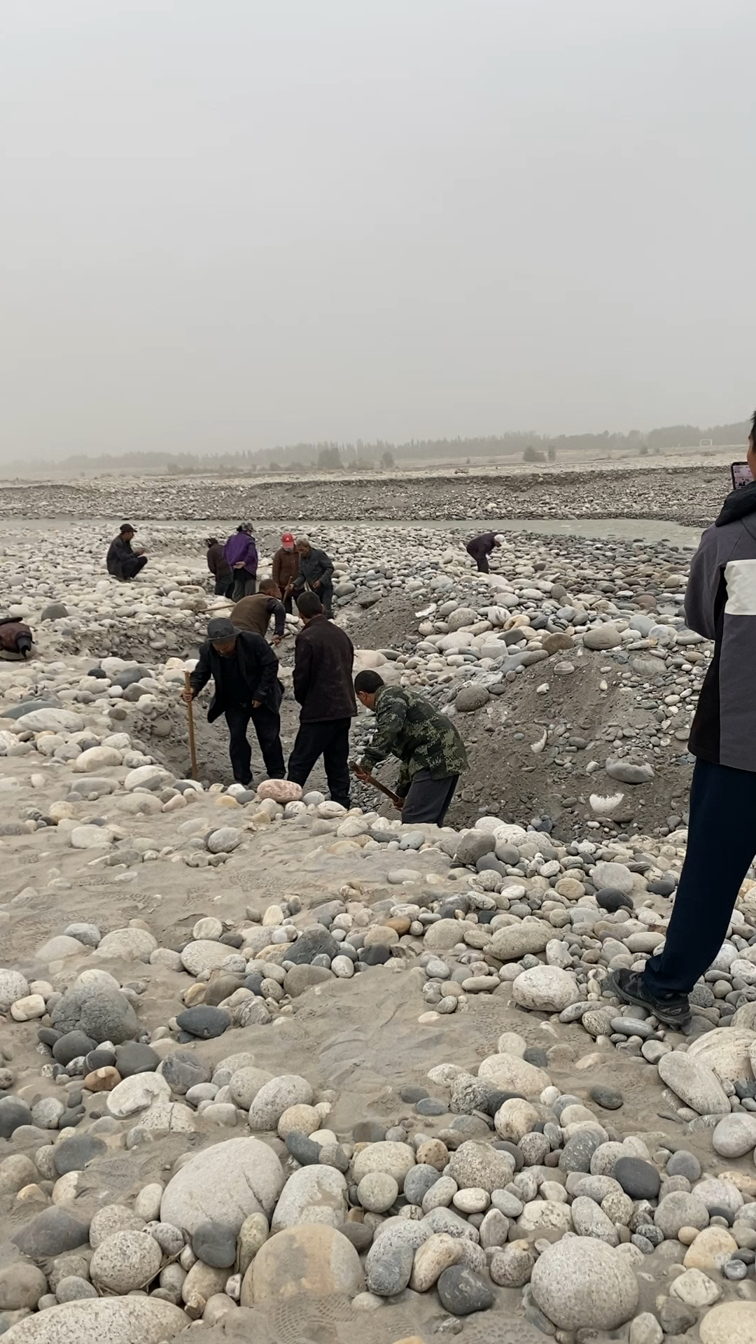 新疆和田玉龙卡什河坝挖玉现场