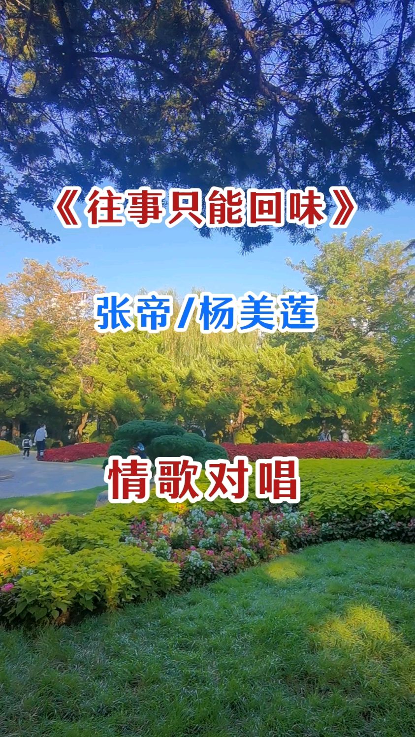 经典歌曲《水仙花》