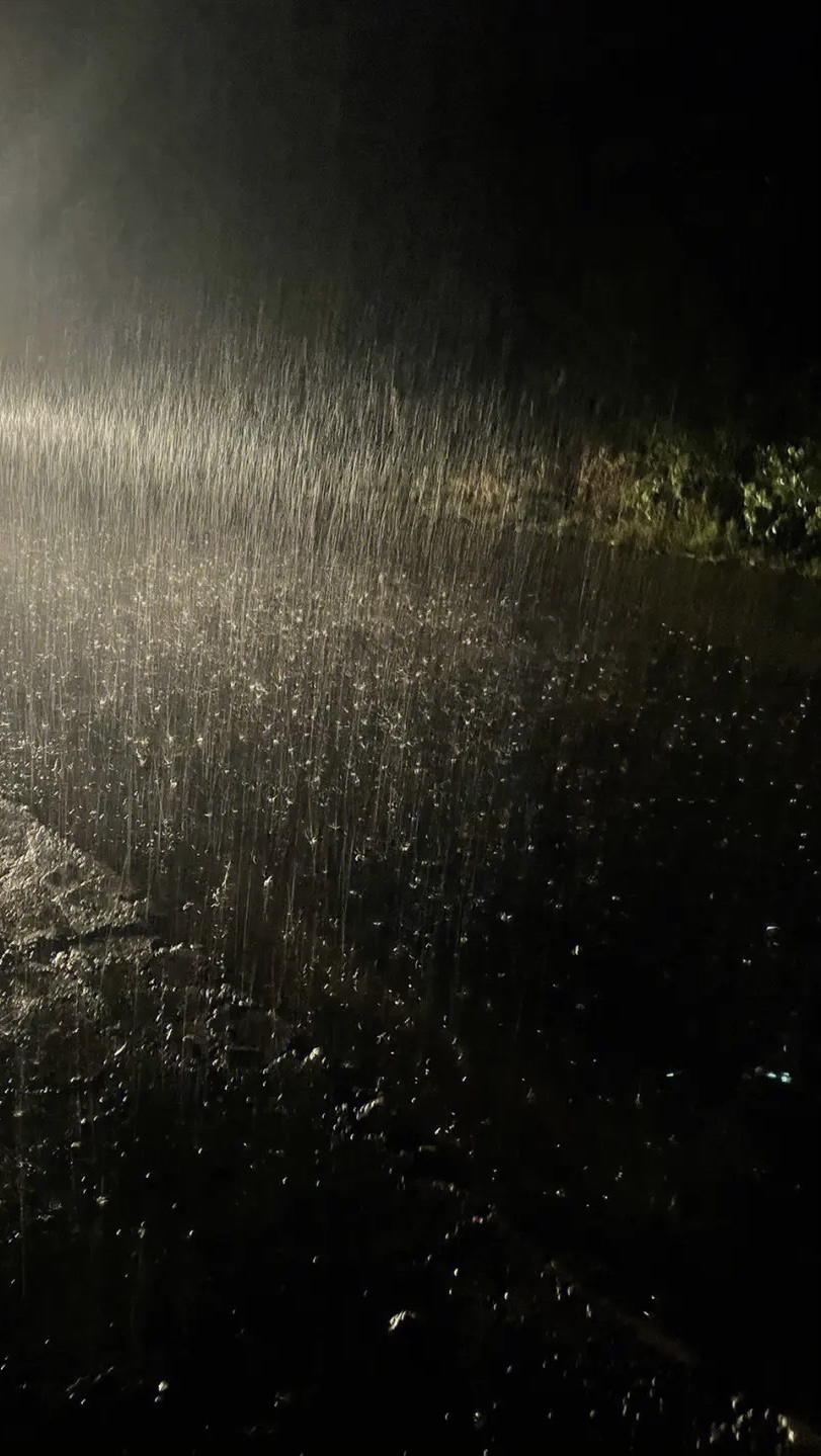 四周能见度很低,有汽车经过时,才能看见漫天的细雨纷纷飘落