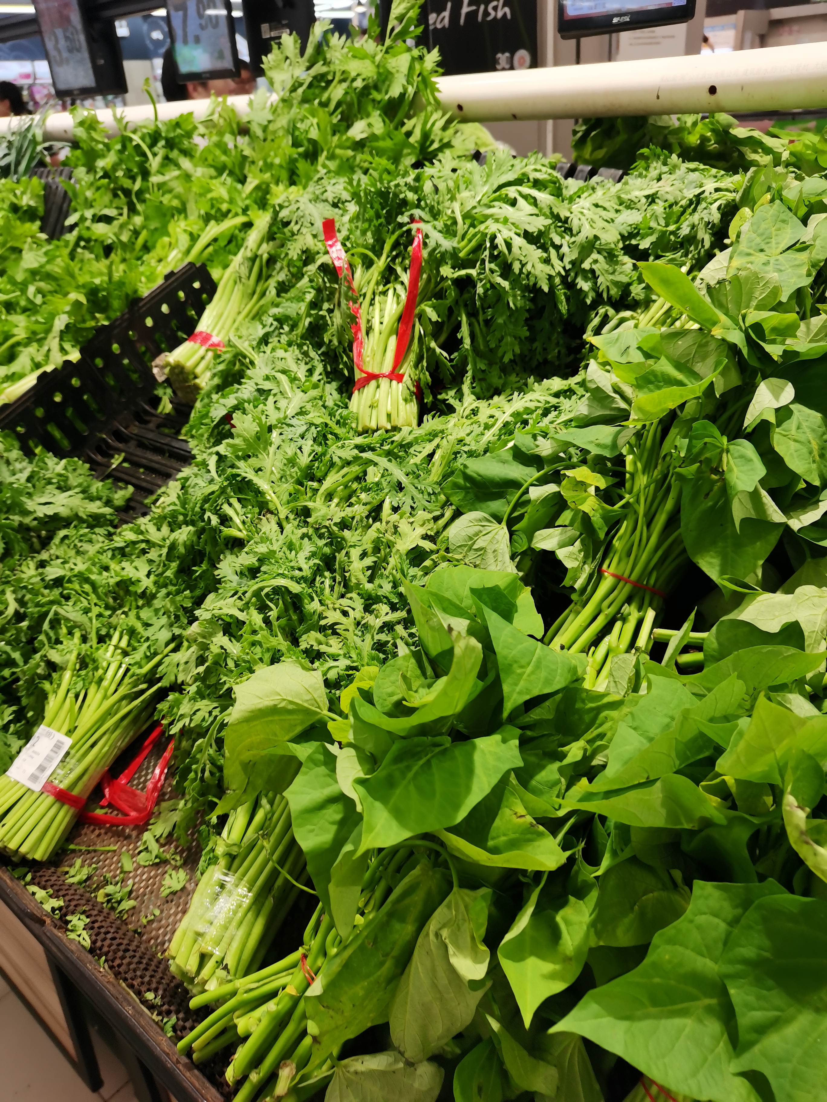 今天在超市,眼前的蔬菜区域让人眼前一亮.