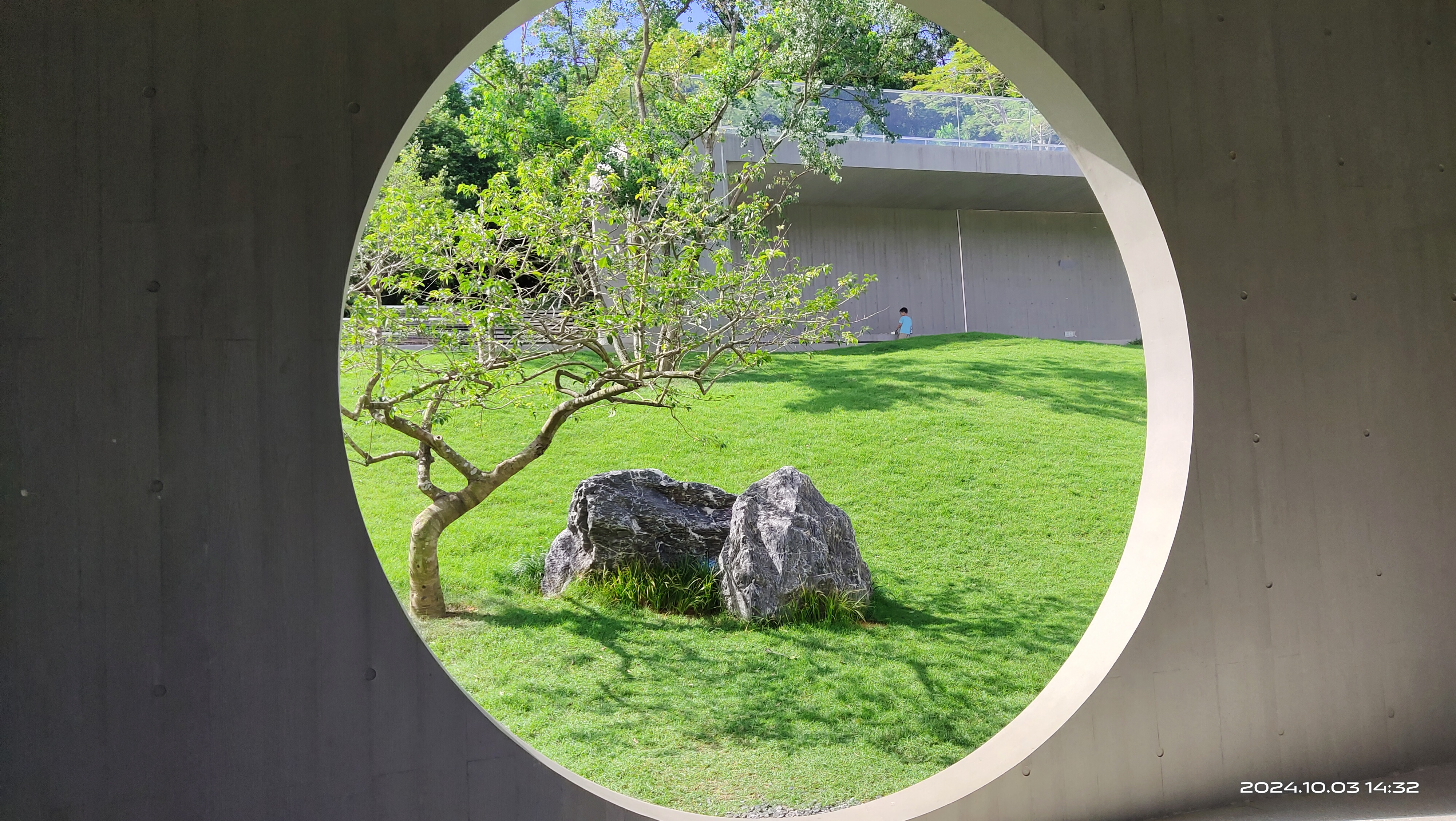 整体来说,如果人生来就惨的话,女孩比男孩更惨