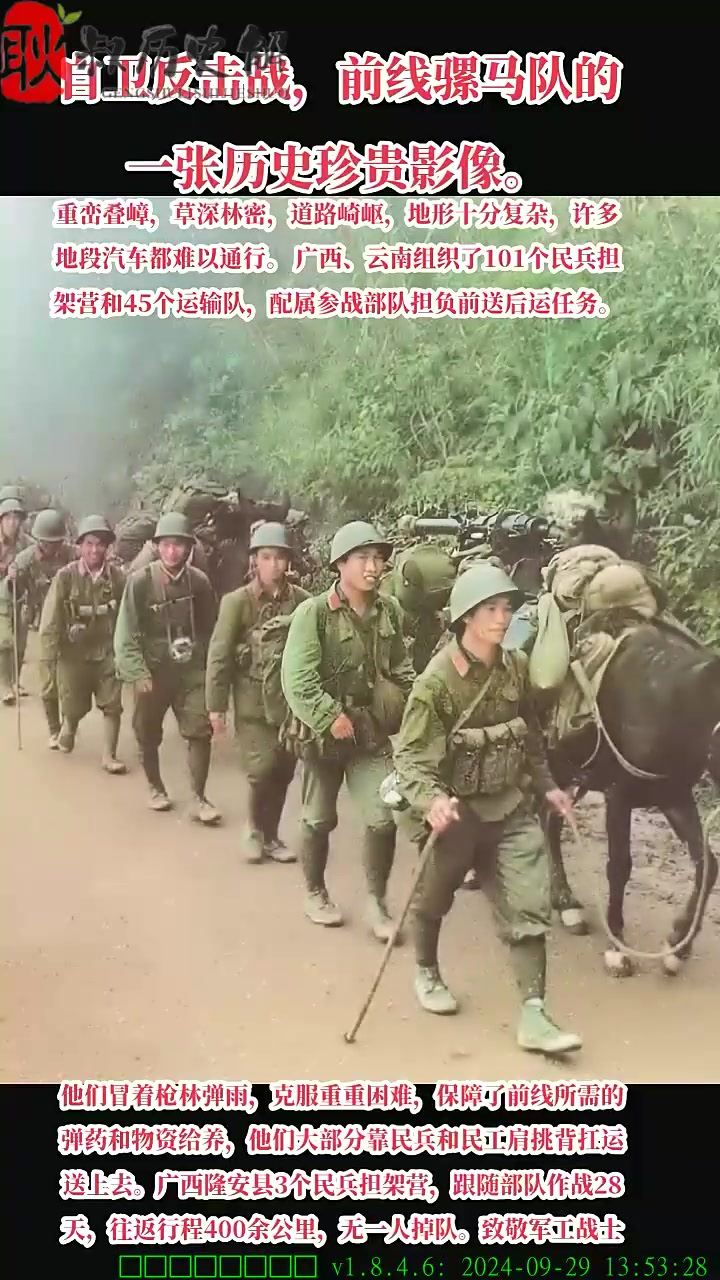 老山自卫反击战图片