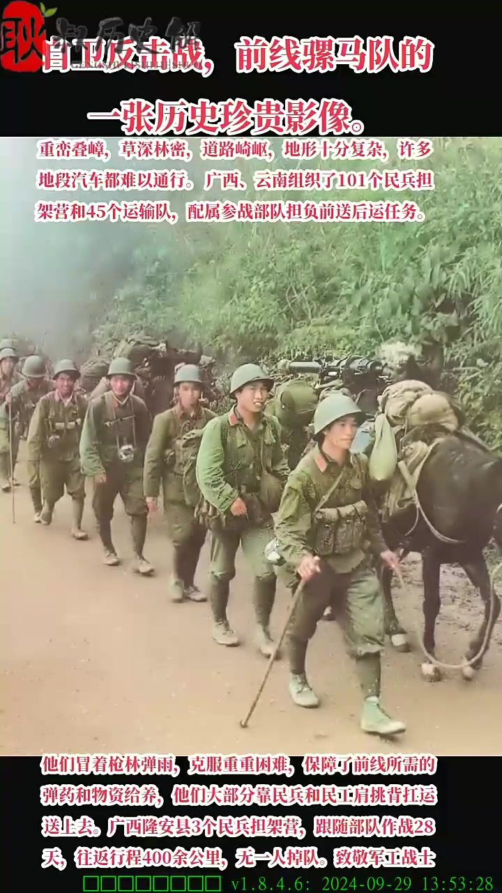 自卫反击战,前线骡马队的一张历史珍贵影像.军工战士 老山