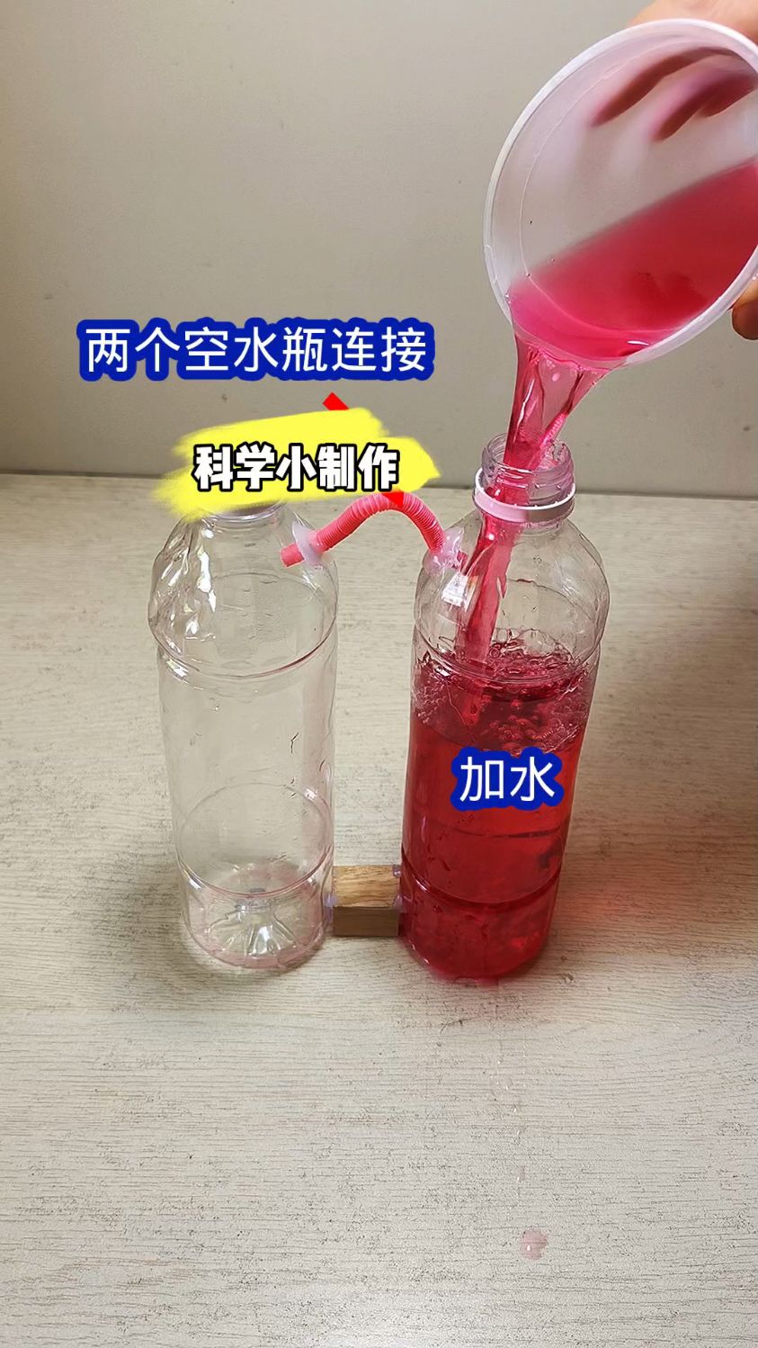 简单又漂亮节水小制作图片