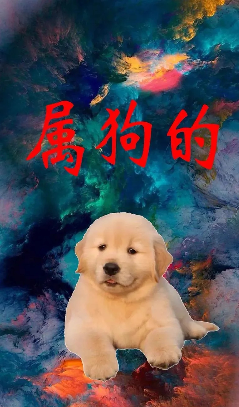 生肖狗下周运势排行(生肖狗2022下半年运势)