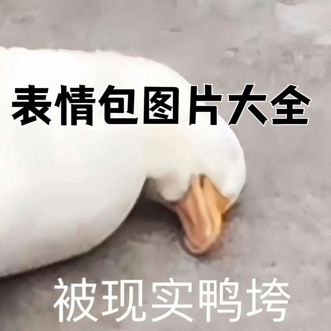 可爱沙雕小表情包大全图片