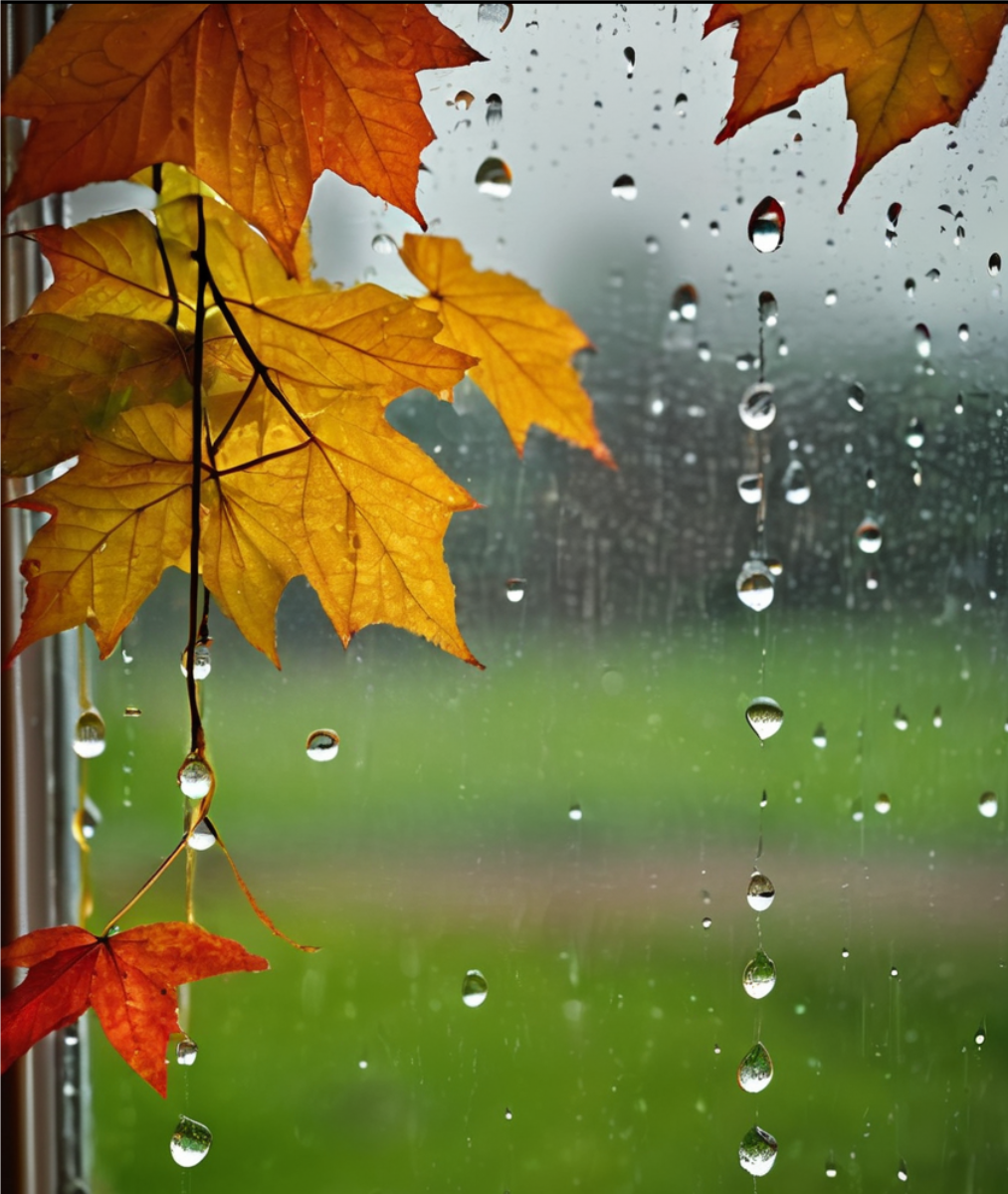 秋雨绵绵,思念恬恬