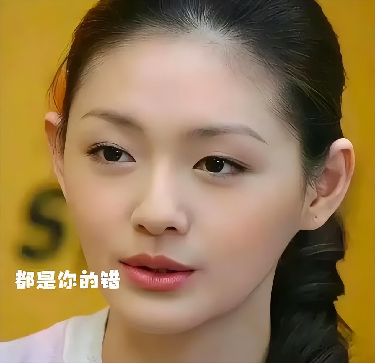 大s新动态,换社交头像,亲吻孩子的合照,暗示汪回头!