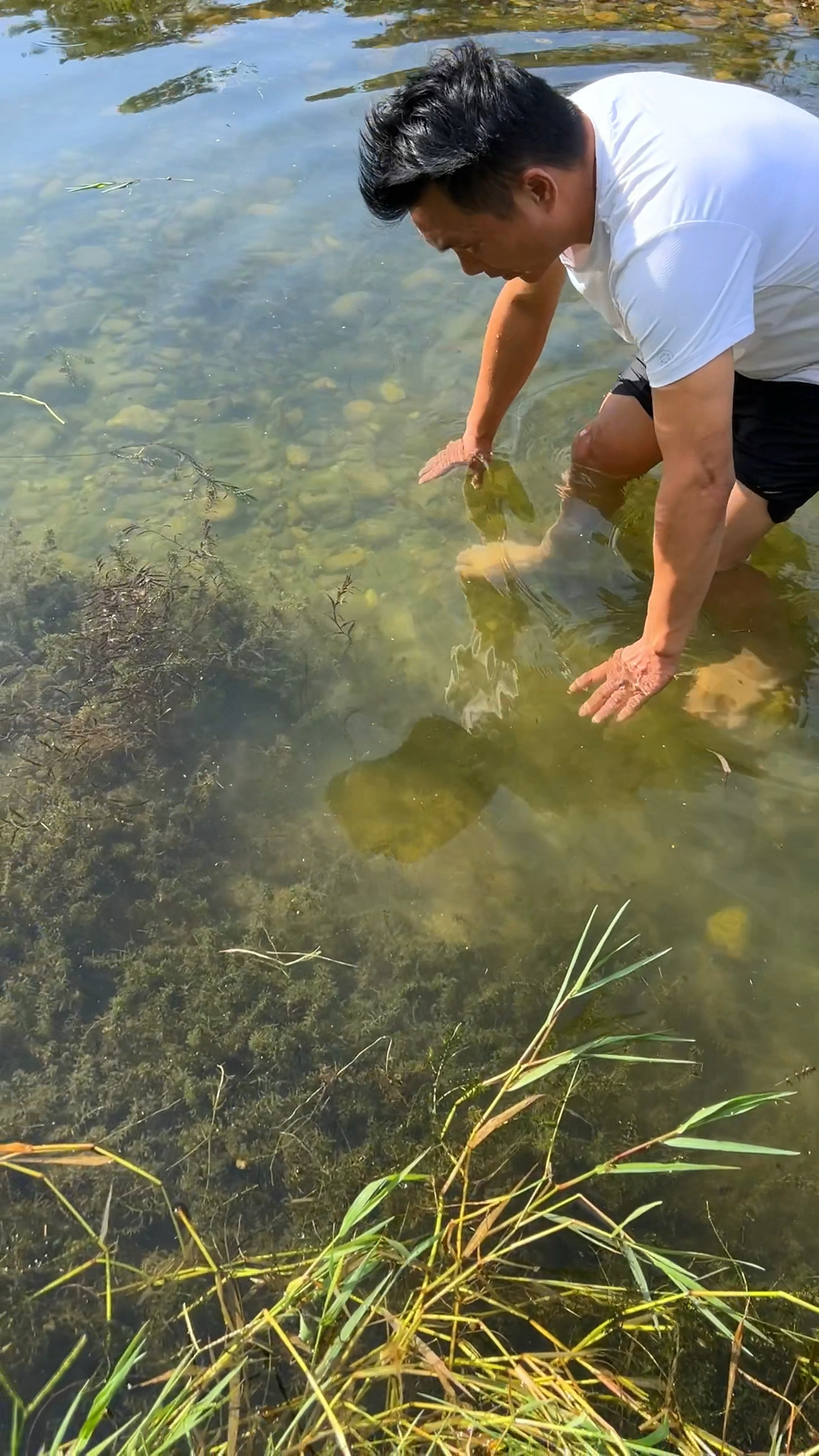 徒手抓鱼,出手要快,下手要狠
