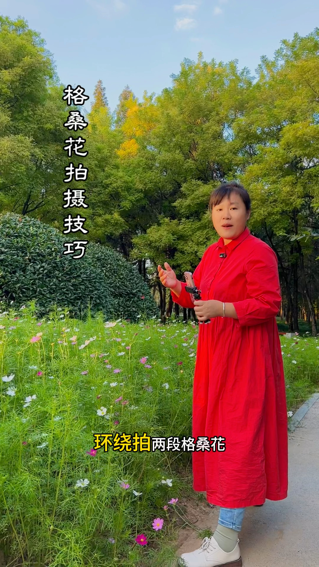 格桑花开了怎么拍唯美