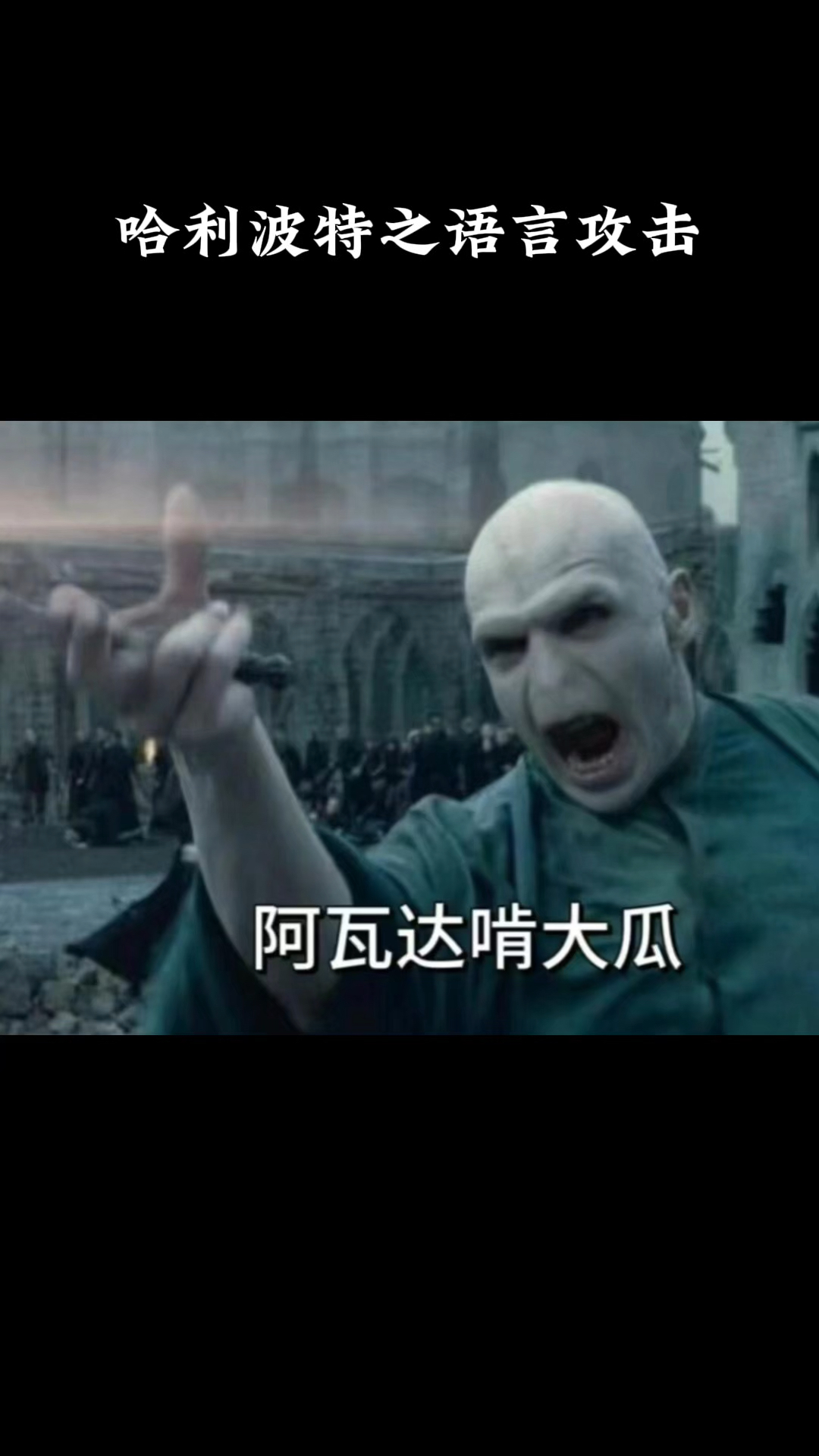 哈利波特之语言攻击