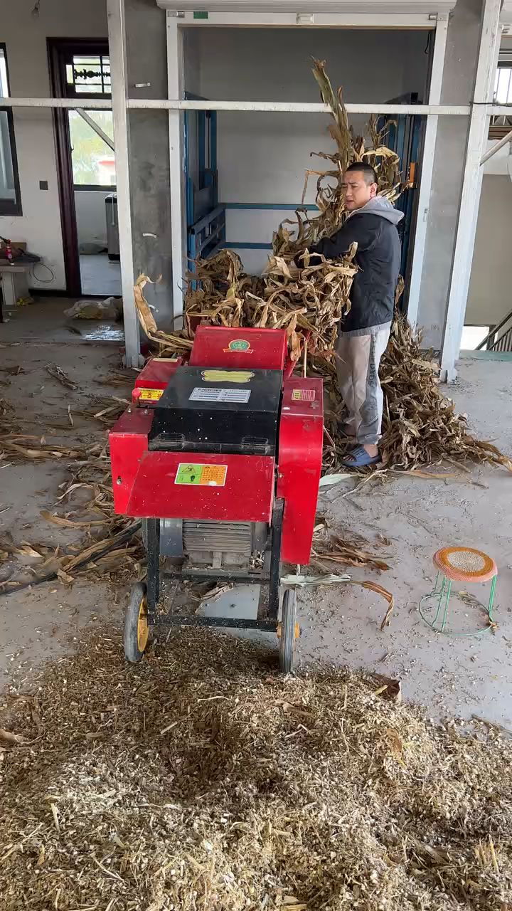 牛羊养殖场使用,大型铡草设备,链条自动进料的铡草揉丝机