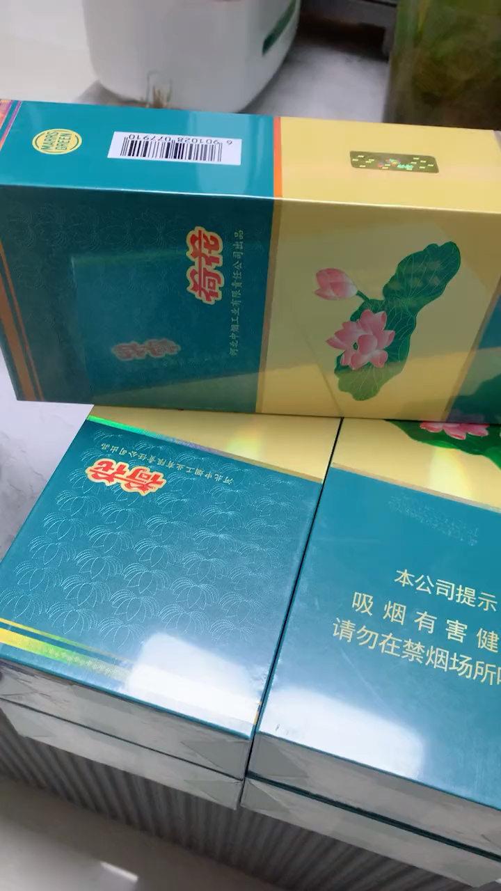 软荷花多少钱图片