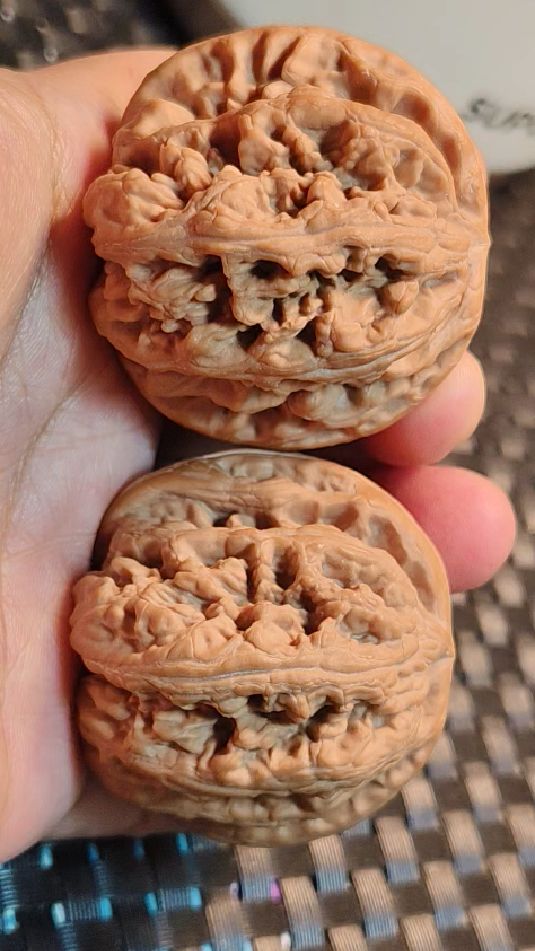 56克的豪横平谷大粗筋