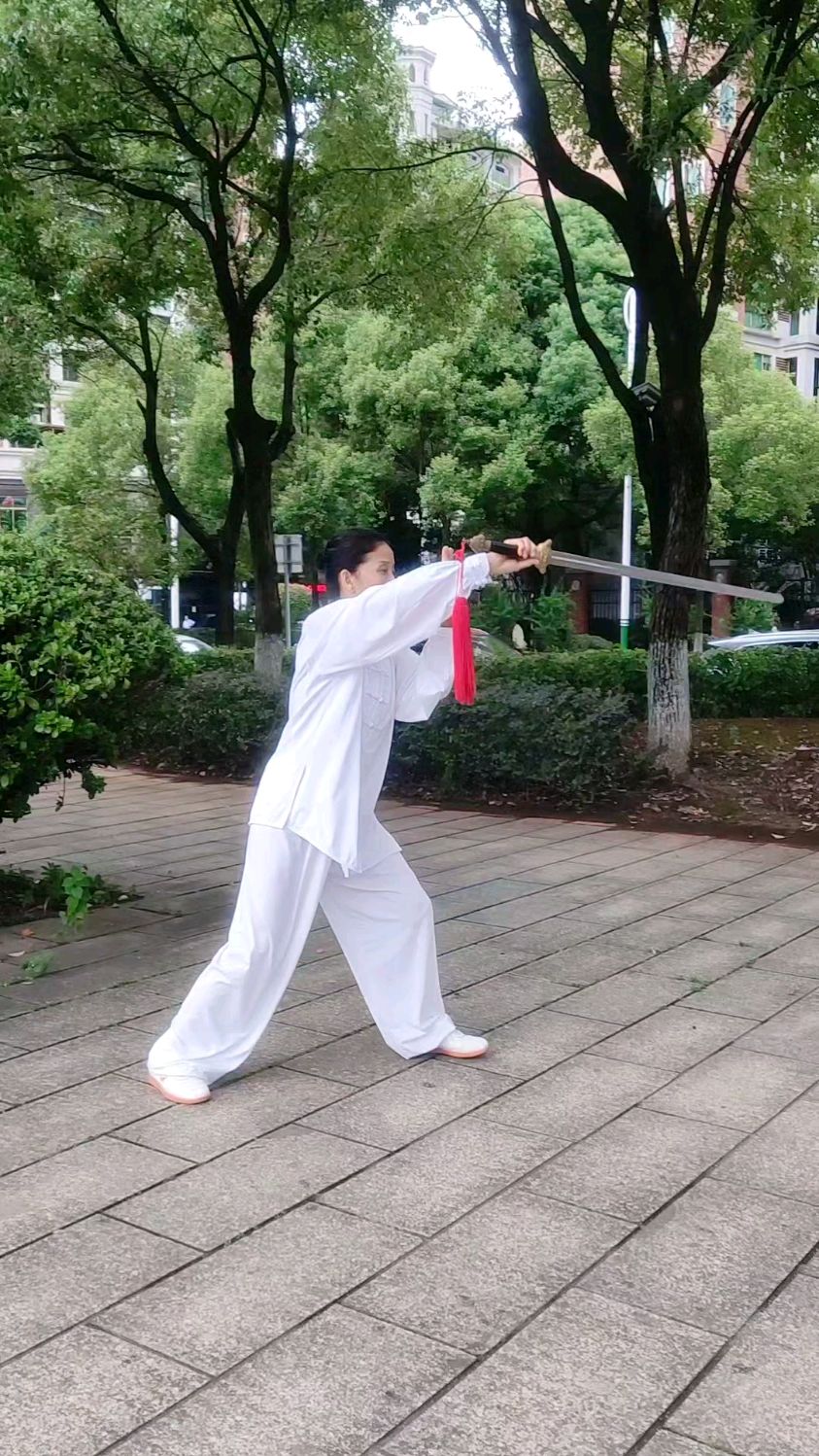 每天一练 32式太极剑