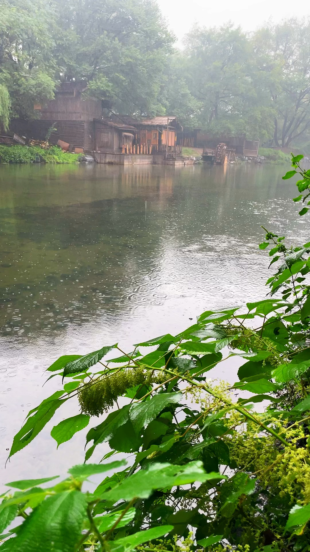 永康西溪西山风景区图片