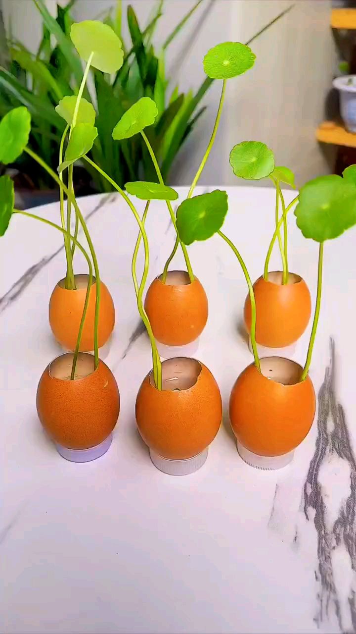 种植什么省事又赚钱(种植什么最赚钱不愁销路)