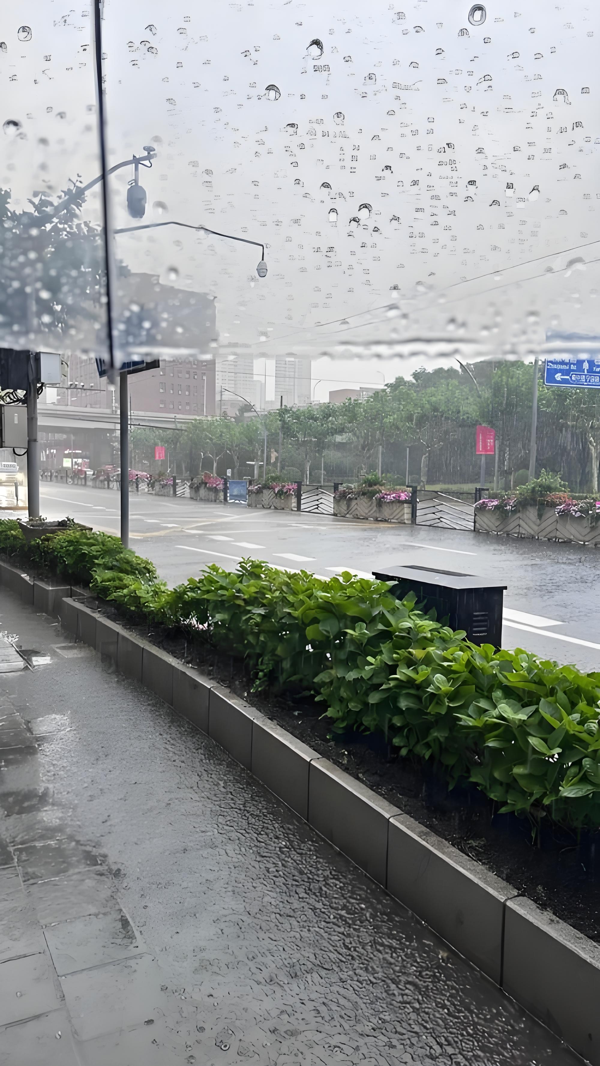 小雨气象图片图片