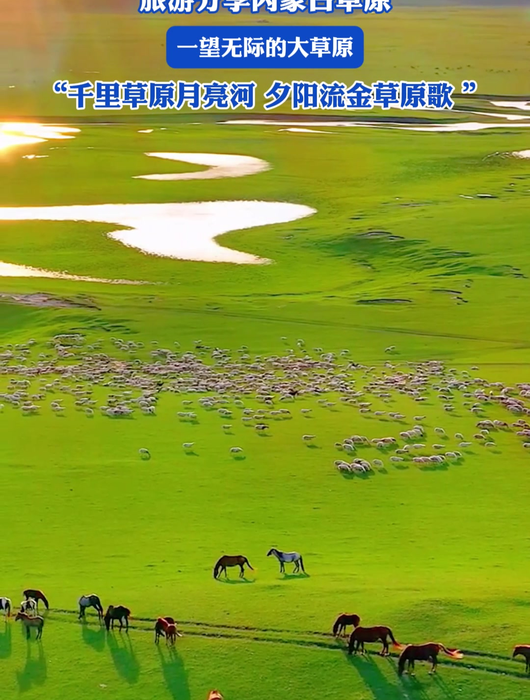 旅游分享内蒙古草原,一望无际的大草原