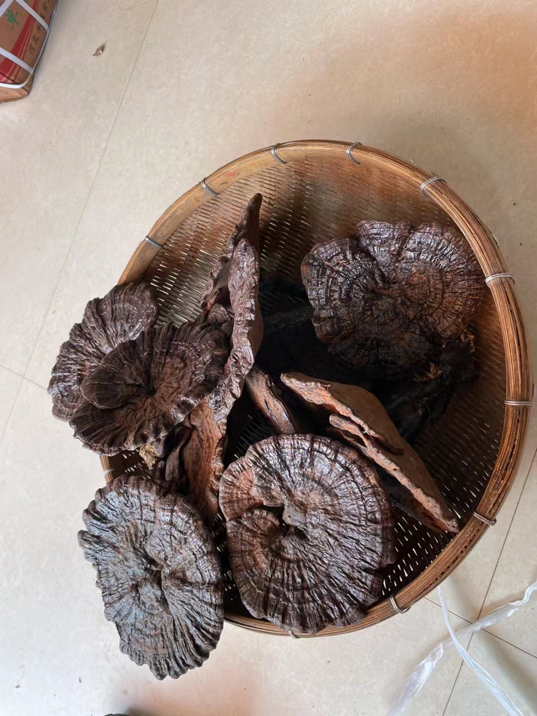 存货的看上来灵芝芝麻菌菇干
