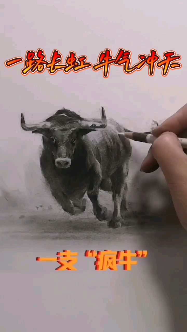 素描画了一头牛 祝所有股民抓住这头疯牛 牛转乾坤 牛气冲天