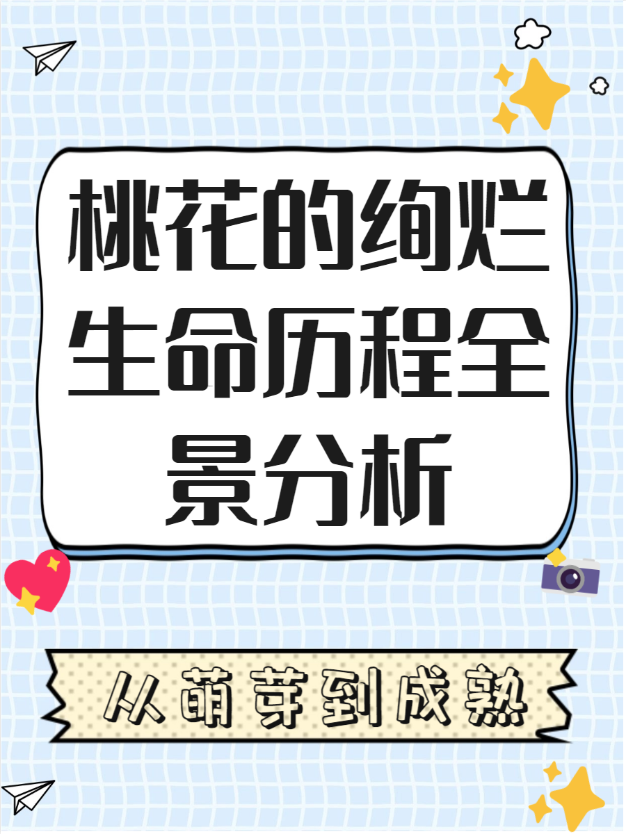 桃花的变化过程  桃花的变化过程 桃花的生命旅程真是美妙极了 从萌芽