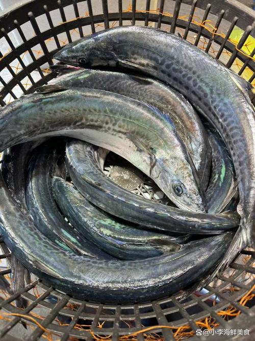 鲅鱼与马鲛鱼的区别