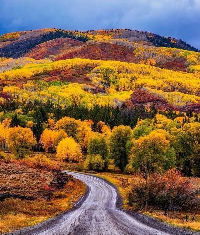 你站在桥上看风景,楼上看风景的人正在看你,其实你不必仰视别人,你