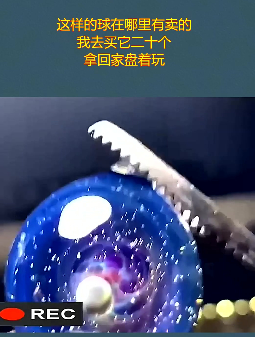 手机去哪买(手机去哪买自动投注软件)