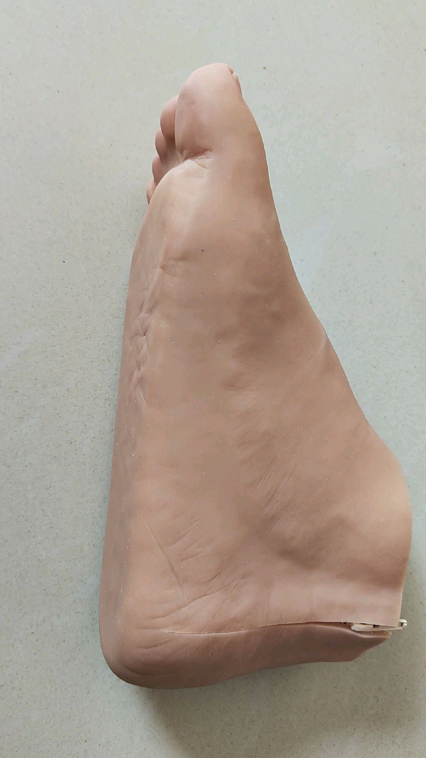 带碳板的硅胶半足假肢