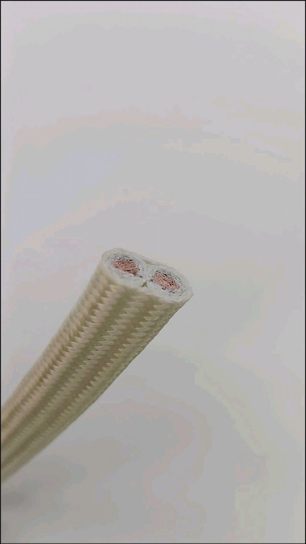 耐高温500度电缆线gn5002*10