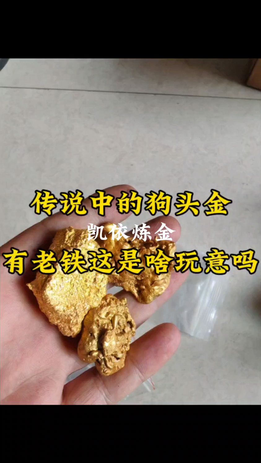 狗头金 豆瓣图片