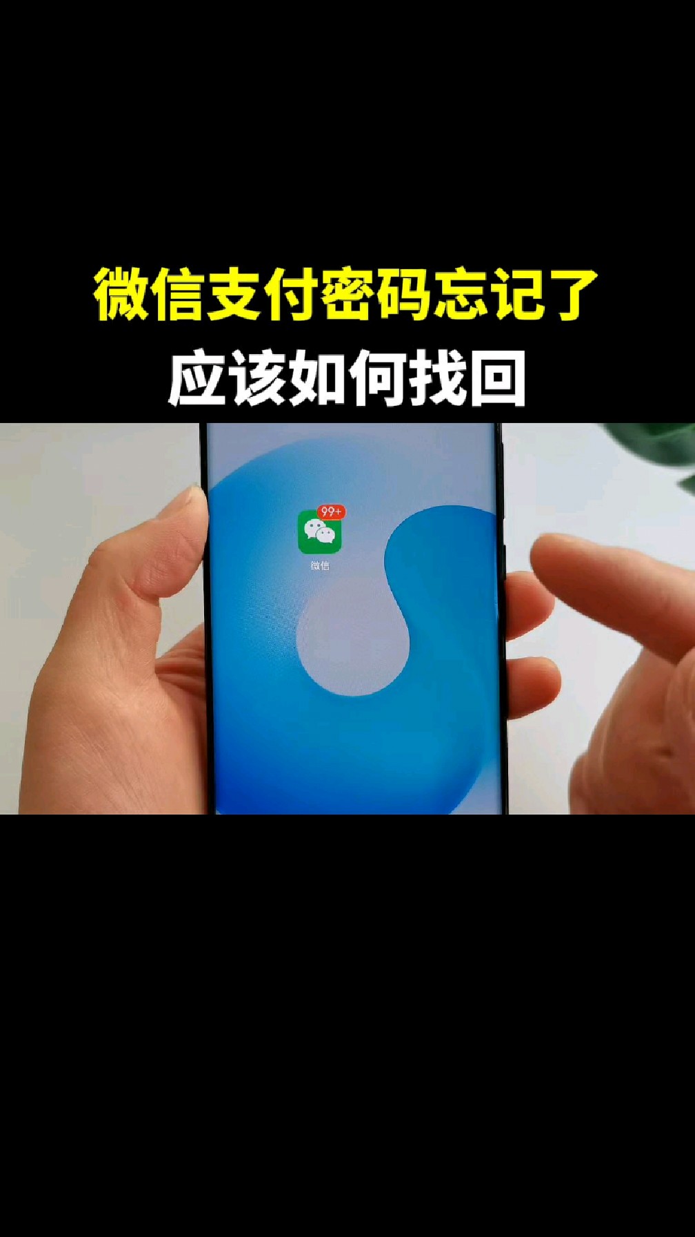 找回密码微信密码_如何找回微信密码_找回密码微信号怎么填写