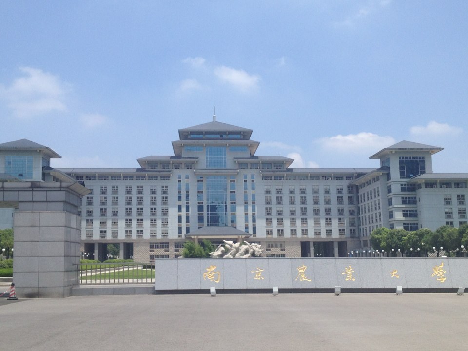 农产品批发：连接田野与餐桌的新纽带