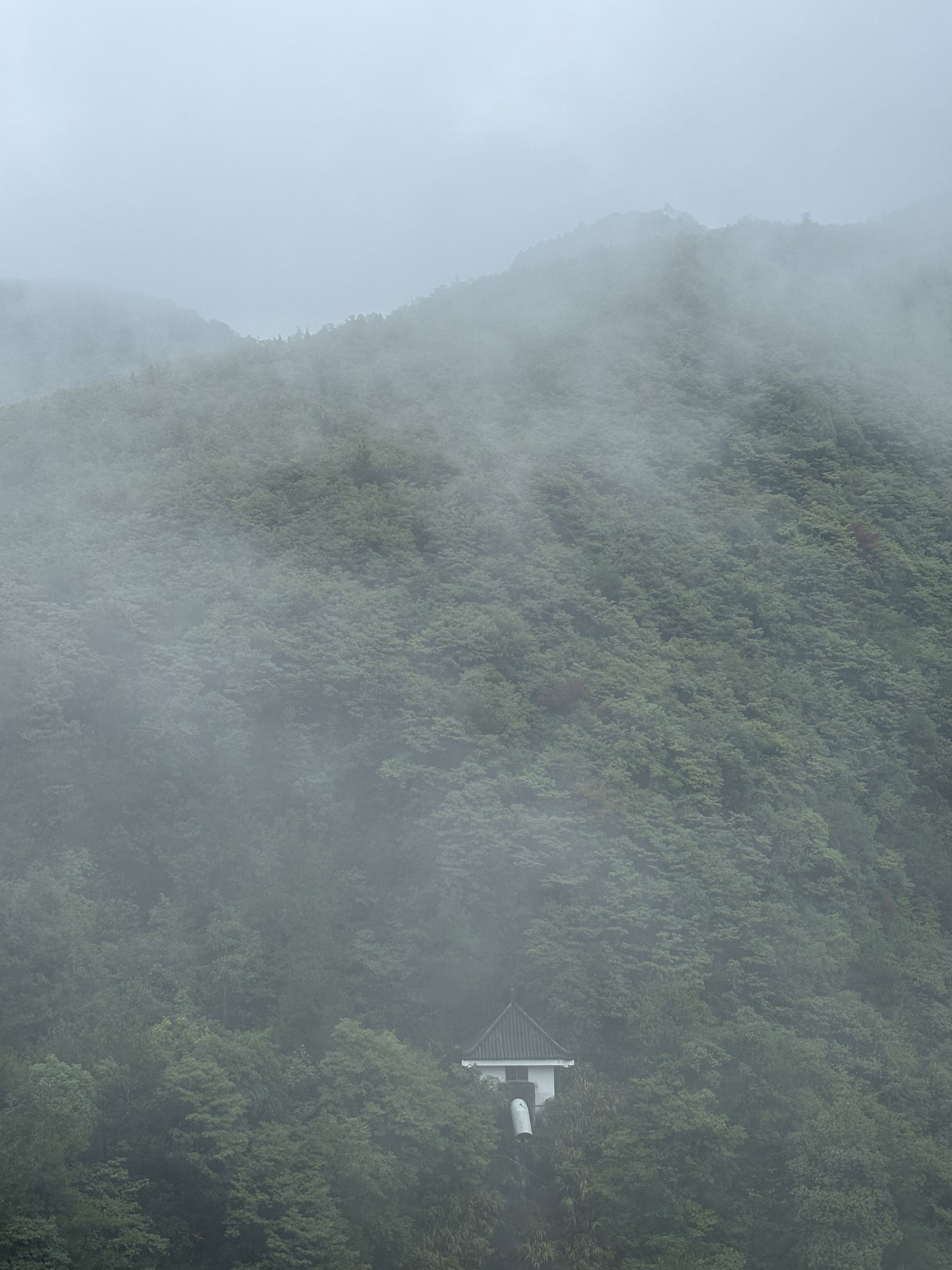 一半阴雨一半晴图片图片